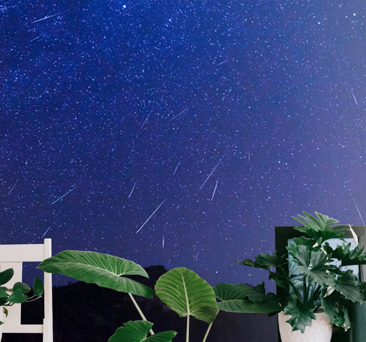 Fototapety hory nočná obloha s kométami - Tenstickers