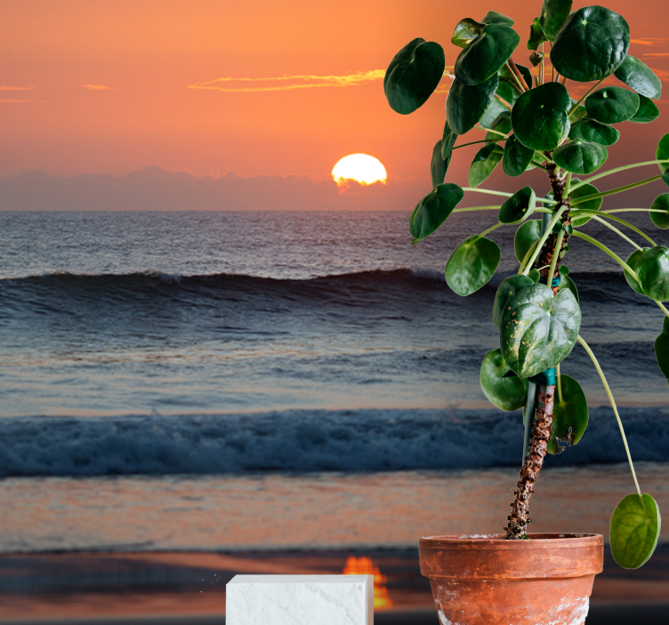 fototapety more západ slnka oceánsky horizont - Tenstickers