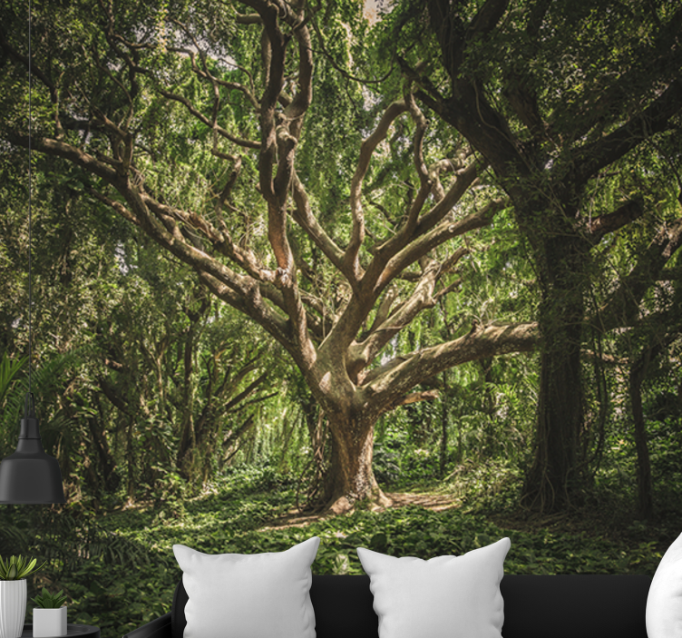 Fototapety na stenu les majestátna lesná koruna - Tenstickers