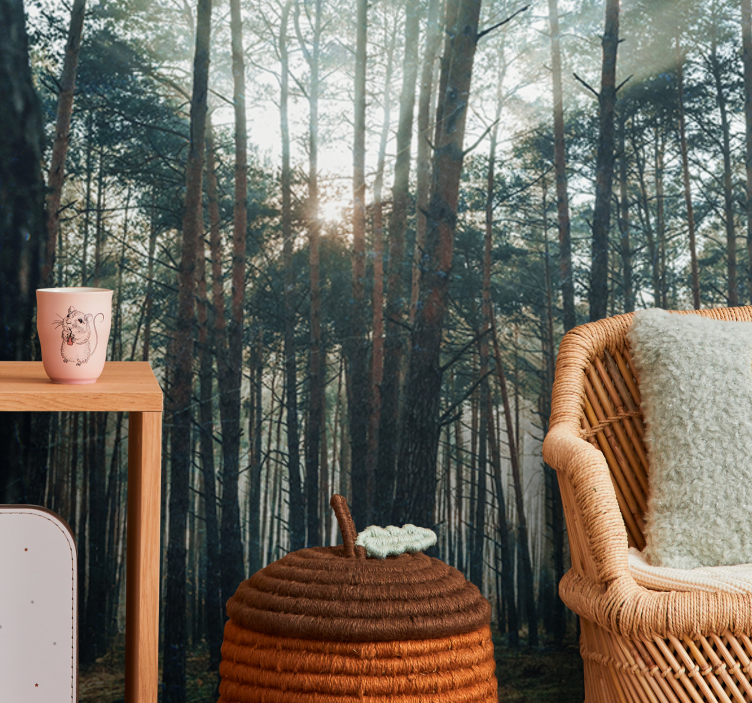 Fototapety na stenu les pokojná borovicová háj. - Tenstickers