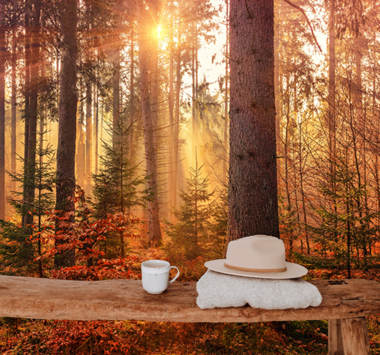 fototapety na stenu les slnkom zaliata lesná žiara - Tenstickers