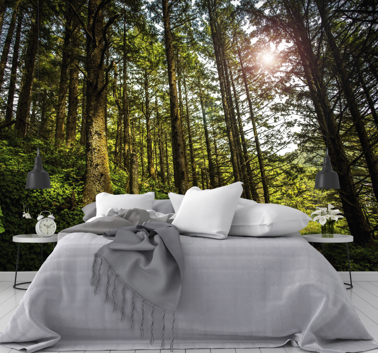 fototapety na stenu les slnkom zaliaty lesný chodník - Tenstickers