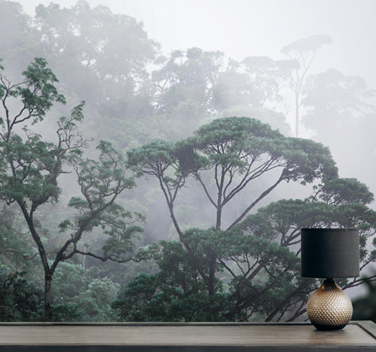 Fototapety na stenu les zahalený lesný pohľad - Tenstickers