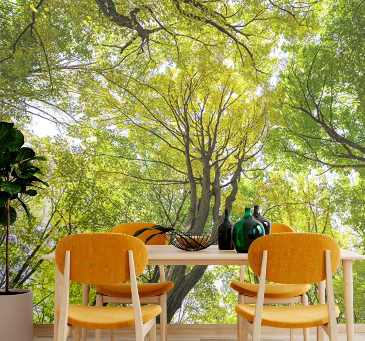 Fototapety na stenu priroda hojný lesný baldachýn - Tenstickers