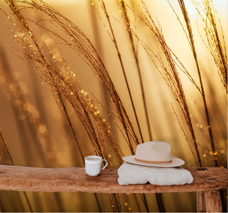 Fototapety na stenu priroda jemná zlatá tráva - Tenstickers