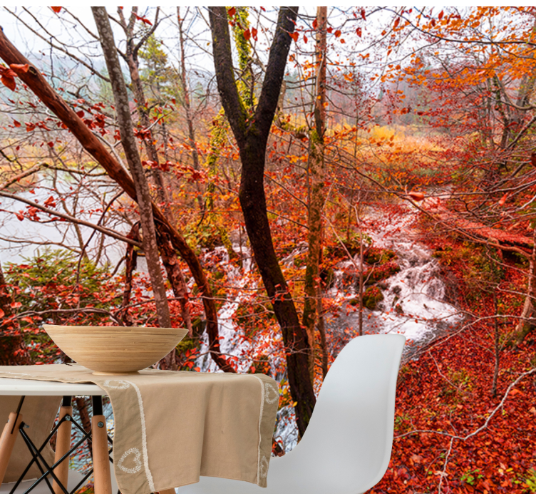 fototapety na stenu priroda jesenná lesná scéna - Tenstickers