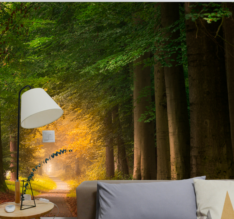 Fototapety na stenu priroda lesná cesta - Tenstickers