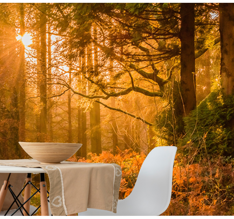 fototapety na stenu priroda osvetlená lesná krajina - Tenstickers