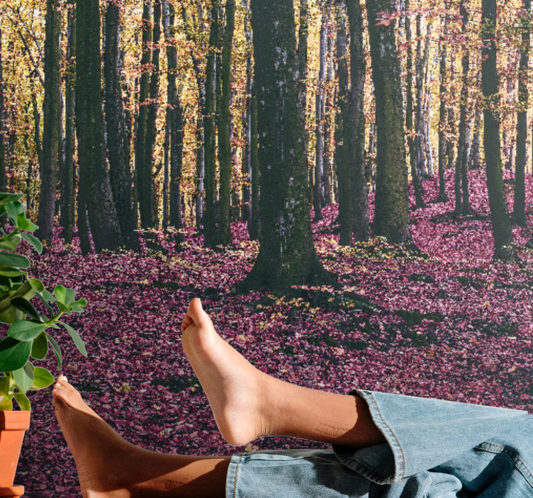 Fototapety na stenu priroda pokojná lesná scenéria - Tenstickers