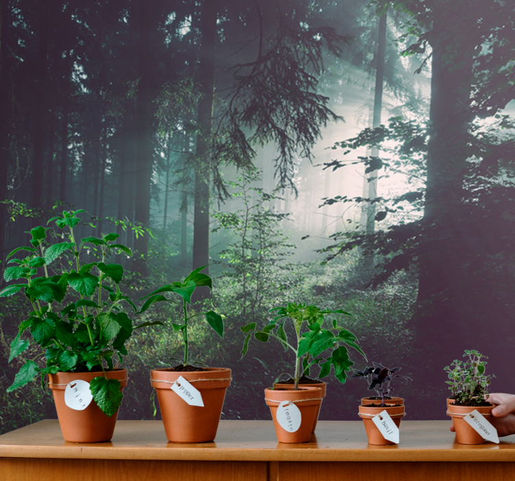 Fototapety na stenu priroda zelené lesné krajiny - Tenstickers