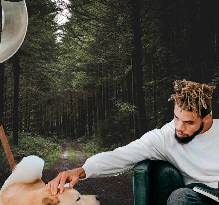 Fototapety na stenu priroda zelený lesný chodník - Tenstickers