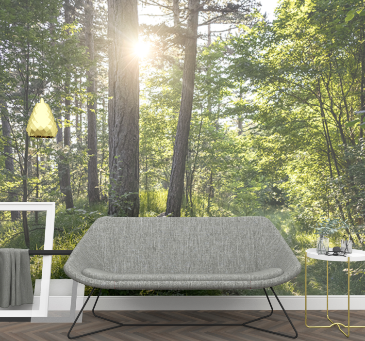 Fototapety na stenu priroda Žiarivá lesná cesta - Tenstickers