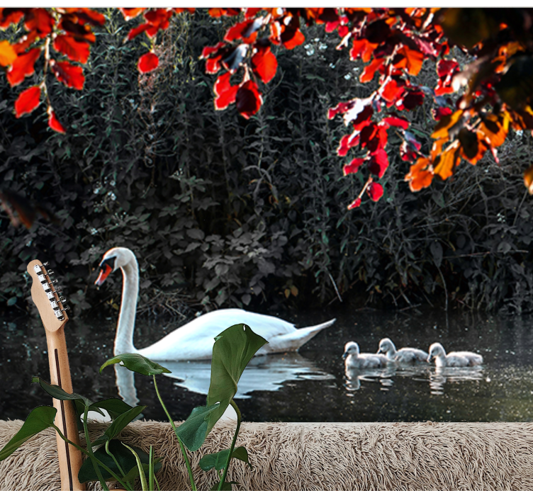 Fototapety so zvieratami elegantná rodina labutí - Tenstickers