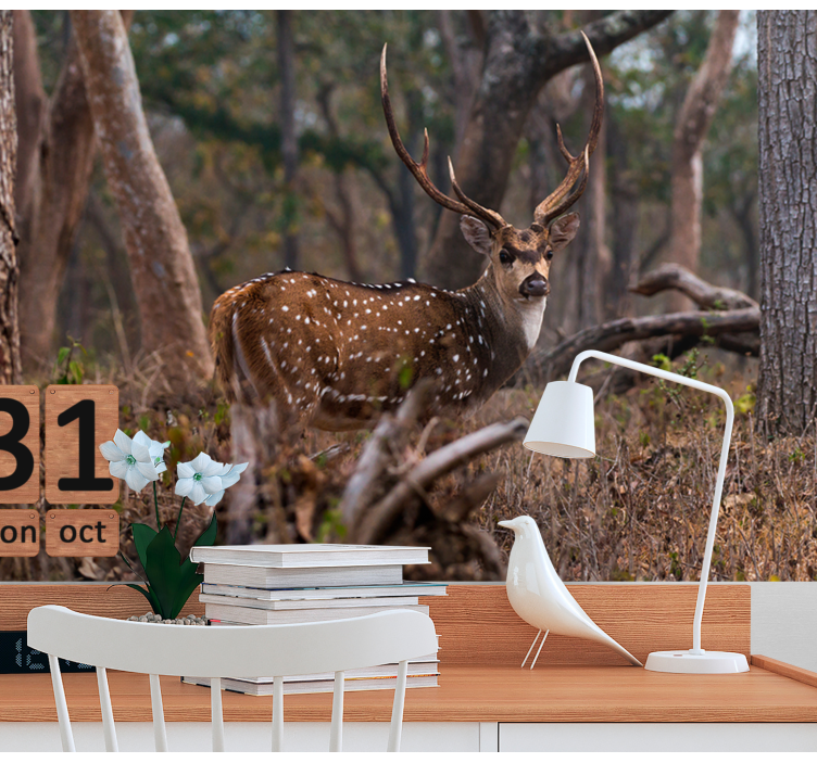 Fototapety so zvieratami elegantný škvrnitý jeleň - Tenstickers