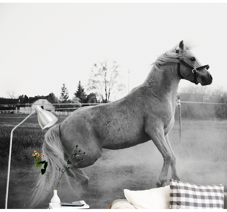 Fototapety so zvieratami hrdzavý poník - Tenstickers