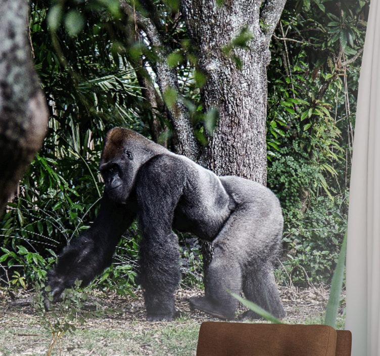 Fototapety so zvieratami majestátna gorila na prechádzke - Tenstickers