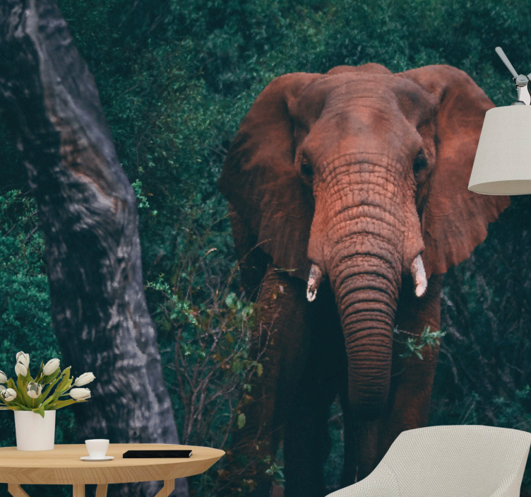 Fototapety so zvieratami majestátna prítomnosť slona - Tenstickers