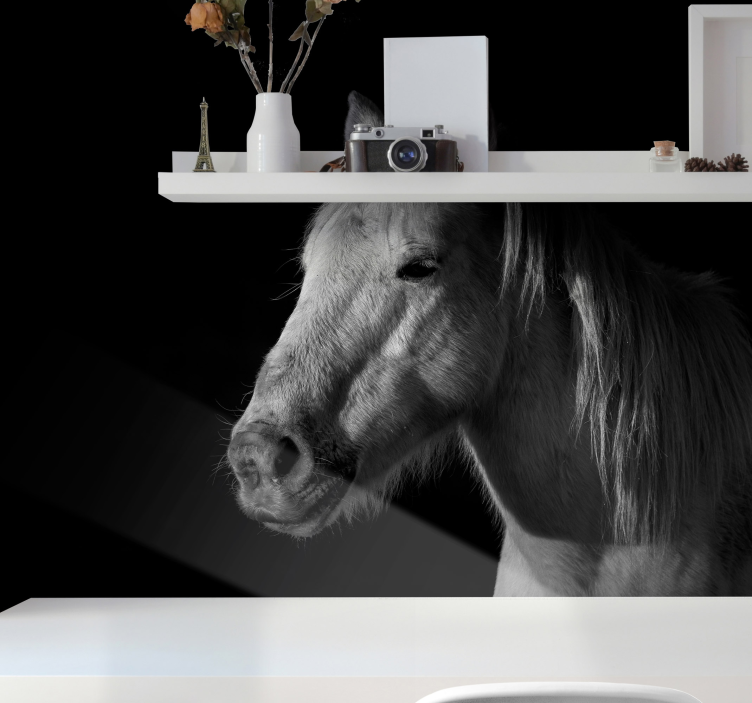 fototapety so zvieratami majestátny portrét koňa - Tenstickers