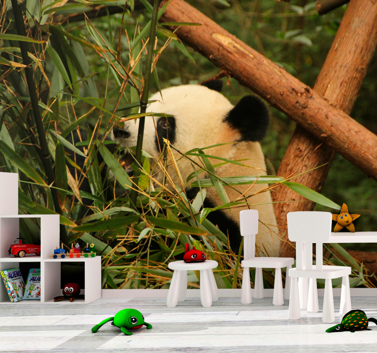 fototapety so zvieratami panda medzi bambusom - Tenstickers