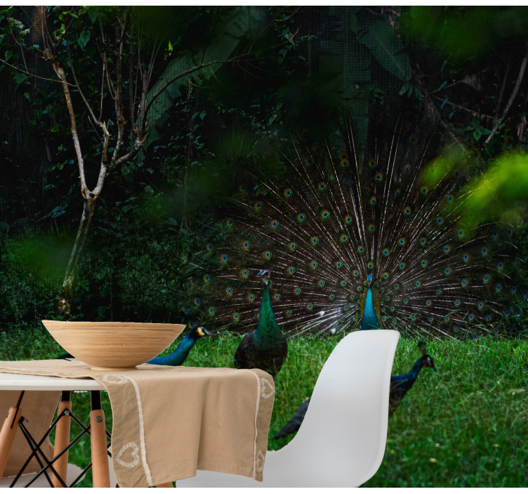 Fototapety so zvieratami páv predvádzajúci perie - Tenstickers