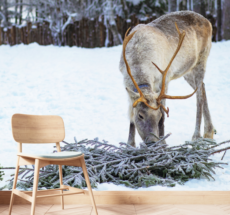 fototapety so zvieratami sob v snehu - Tenstickers