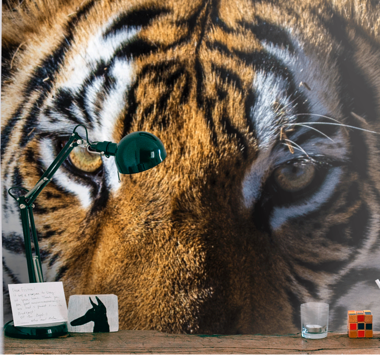 Fototapety so zvieratami Úchvatný detail tigra - Tenstickers