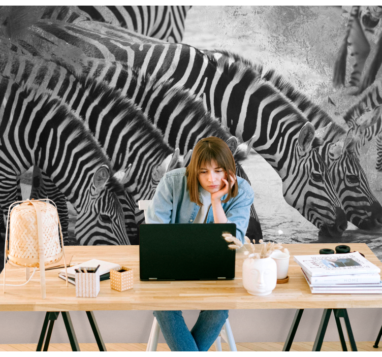 fototapety so zvieratami zebry pitnej vody - Tenstickers