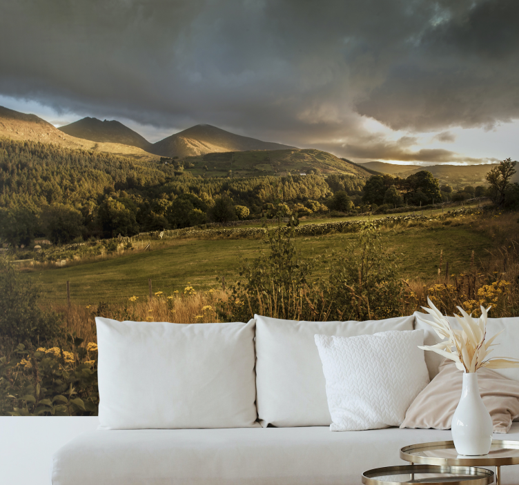írsky vidiek. Príroda fototapeta - Tenstickers