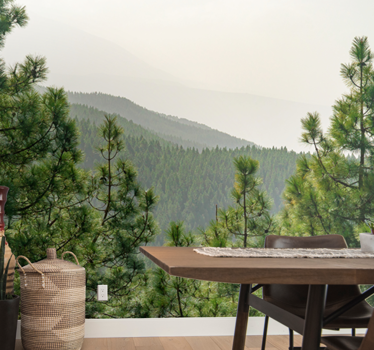 Koruny stromov zhora lesná nástenná fototapeta - Tenstickers