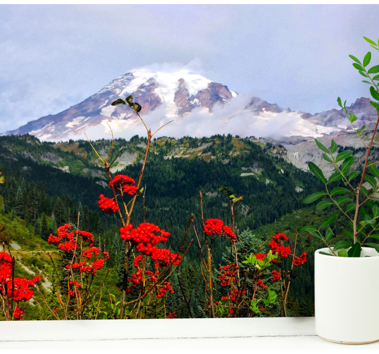 Krajinka fototapety snehom pokrytá hora - Tenstickers