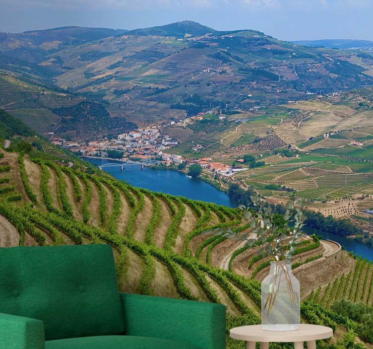 krajinka fototapety vinohradnícka údolná rieka - Tenstickers