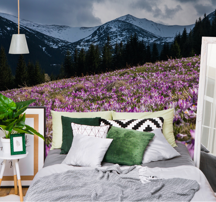 Fototapeta krásna lúka s kvetmi krokusov - Tenstickers