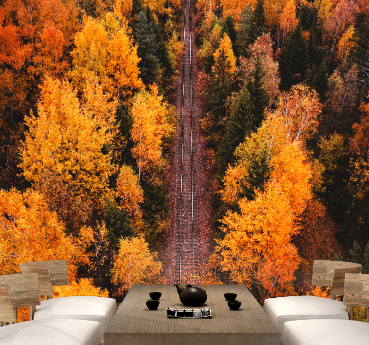 Fototapeta lesné stromy - Tenstickers