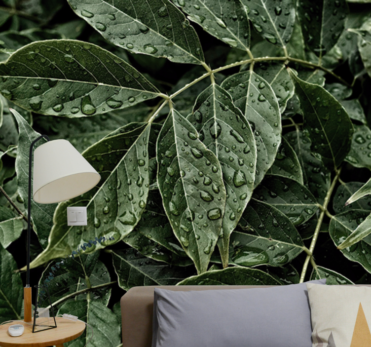 Listy s kvapkami rosy fototapeta do obývačky - Tenstickers