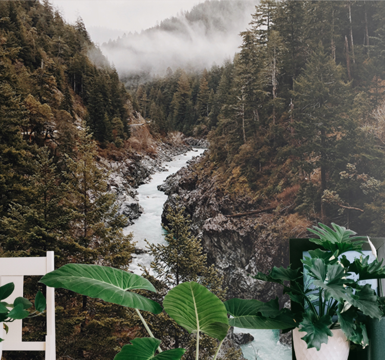 Mokrá hmla so stromami lesná fototapeta - Tenstickers