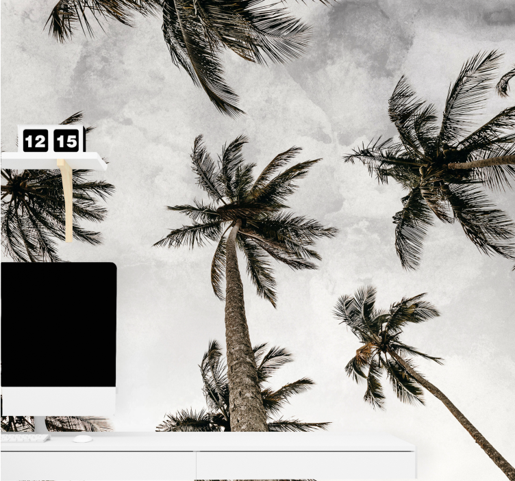 Nástenná fotografia s nízkym uhlom palmy - Tenstickers