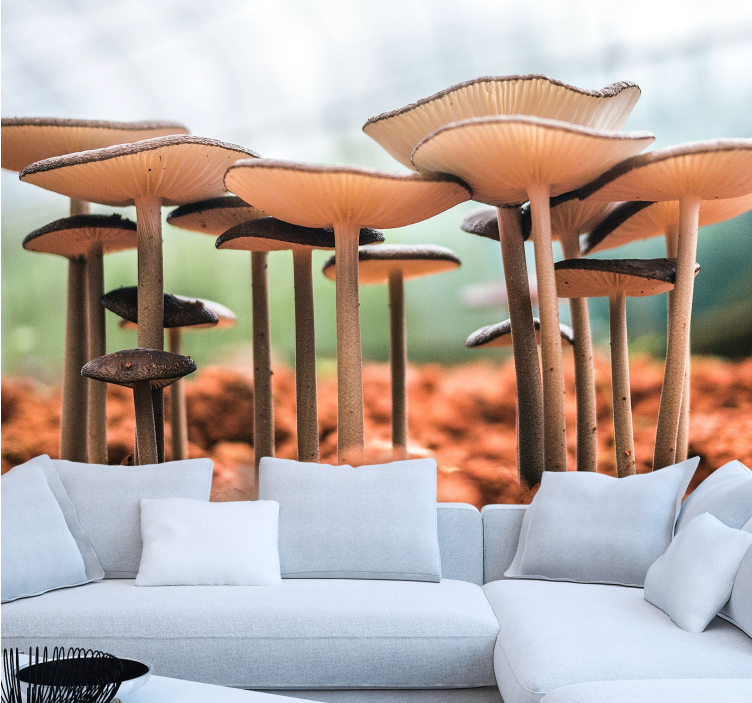 rôzne fototapety scéna húb - Tenstickers