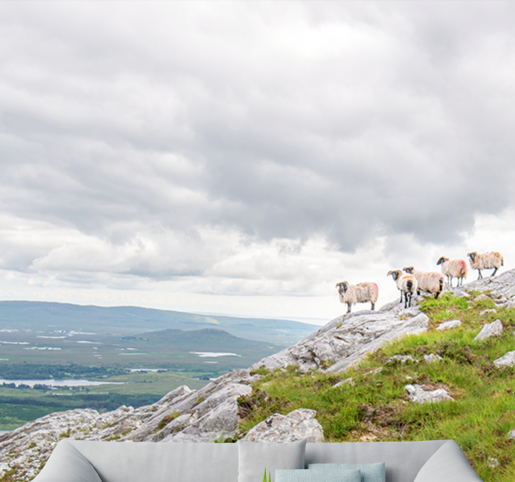 Rôzne fototapety zvieratá jahniatka na svahoch - Tenstickers