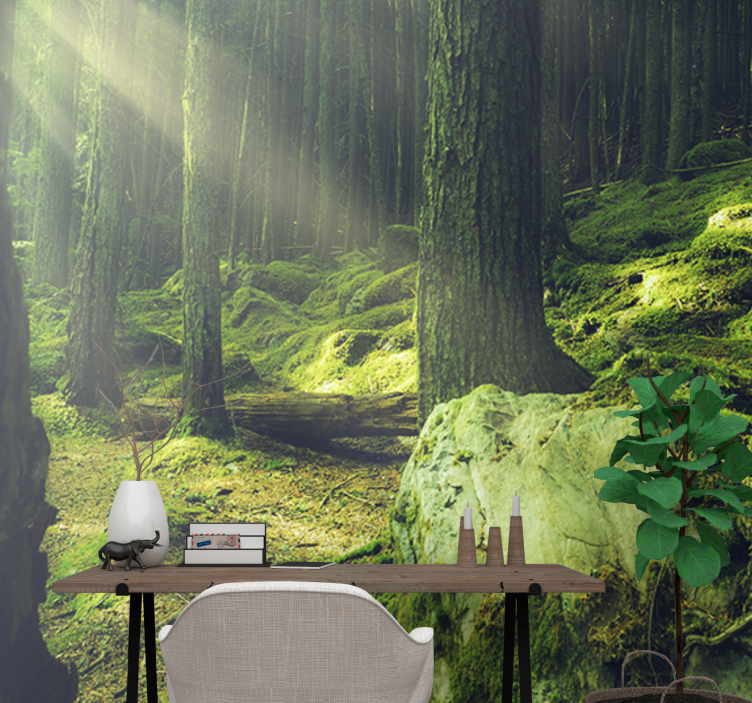 Fototapeta skaly s machom v prírode v lese - Tenstickers