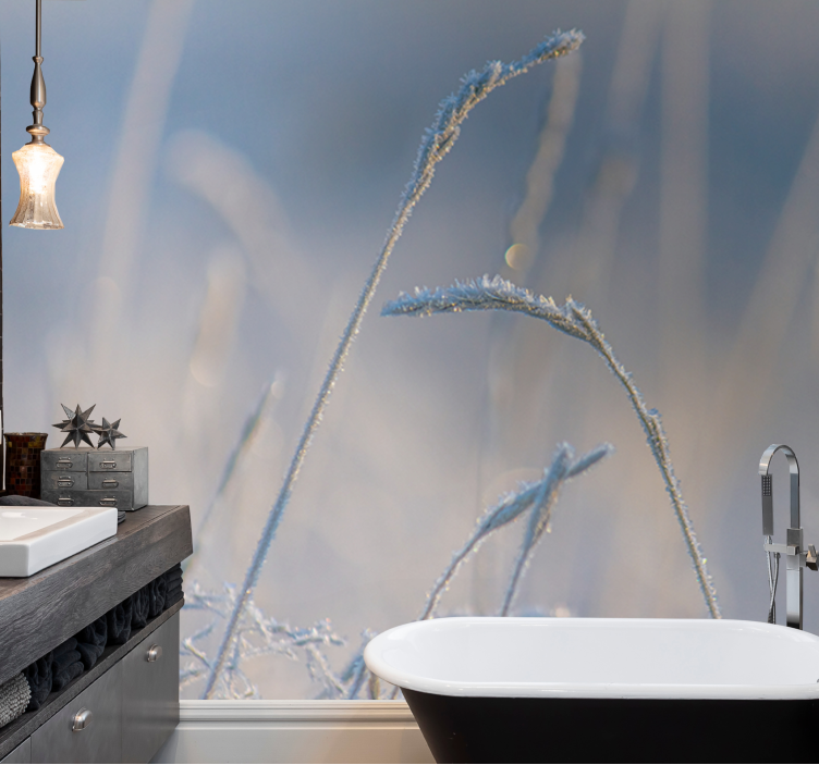 Tenká tráva na modrej prírode fototapeta - Tenstickers