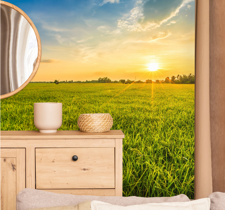 Trávnaté pole estetická príroda fototapeta - Tenstickers