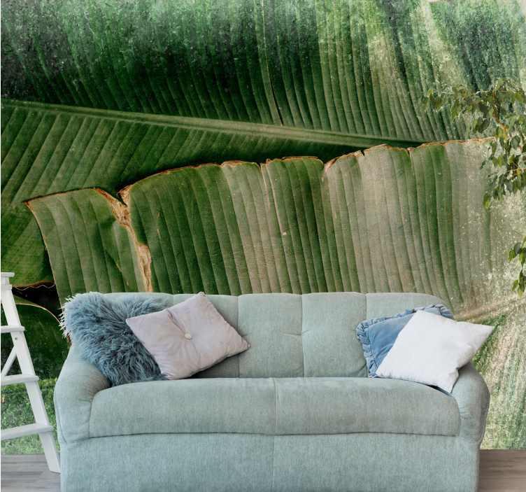 Fototapeta zelené banánové listy vzor príroda - Tenstickers