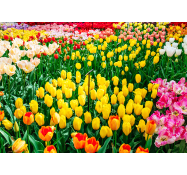Tulipány kvetina nástenná maľba - Tenstickers