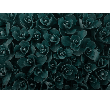 Fototapeta kvety elegantný ružový kvet - Tenstickers