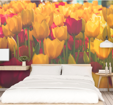 Fototapeta kvety tulipánové kvety na poliach - Tenstickers
