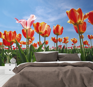Fototapeta kvety Živý tulipánový lúk - Tenstickers