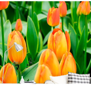 Fototapeta tulipány bohatstvo kvetov - Tenstickers