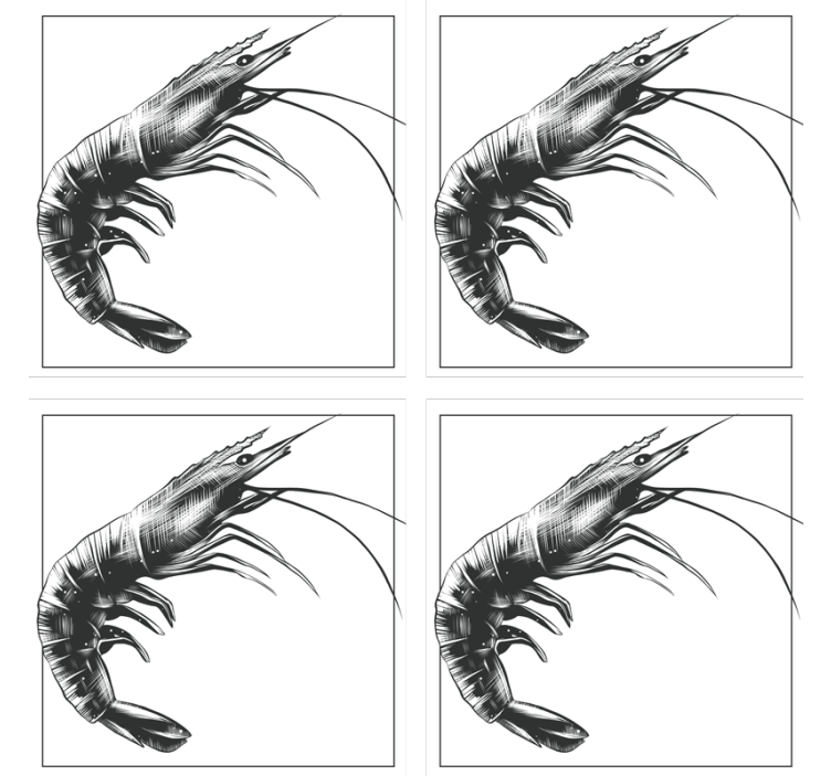 Krásne ručne kreslenou krevety rybacie dráha - Tenstickers