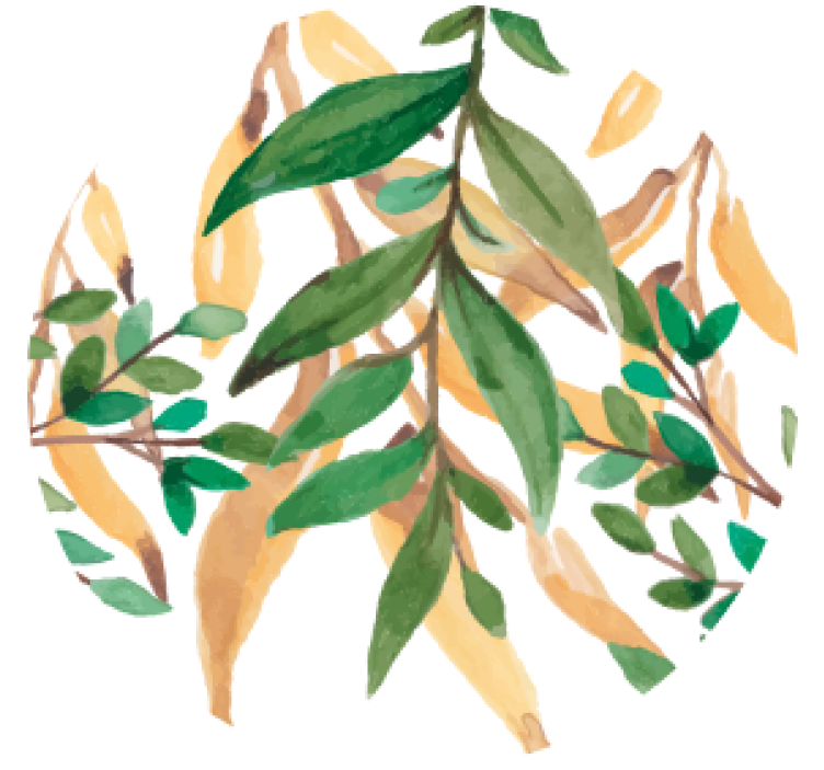 Pivná tácka zelená botanika s listami - Tenstickers