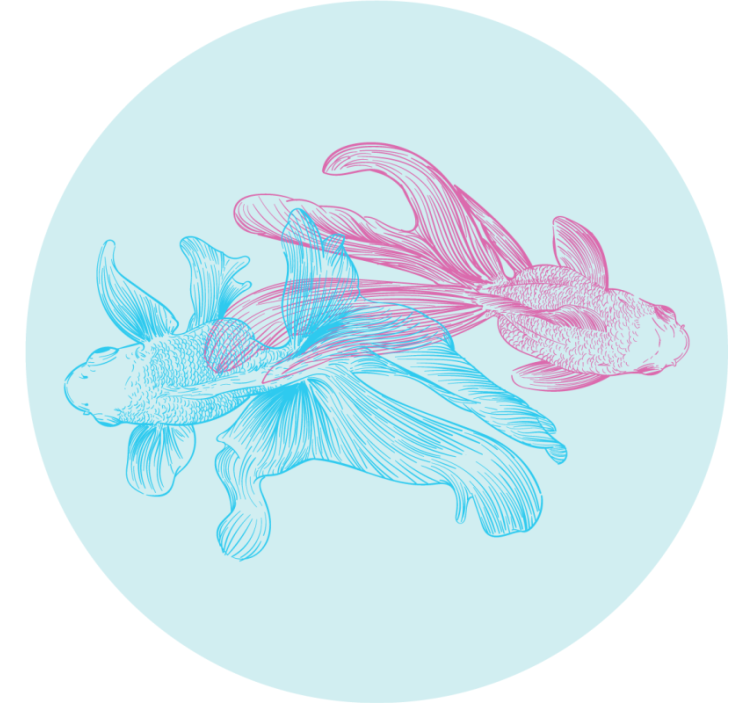 Zábavná podtácka s dvojfarebnými rybími ilustráciami - Tenstickers